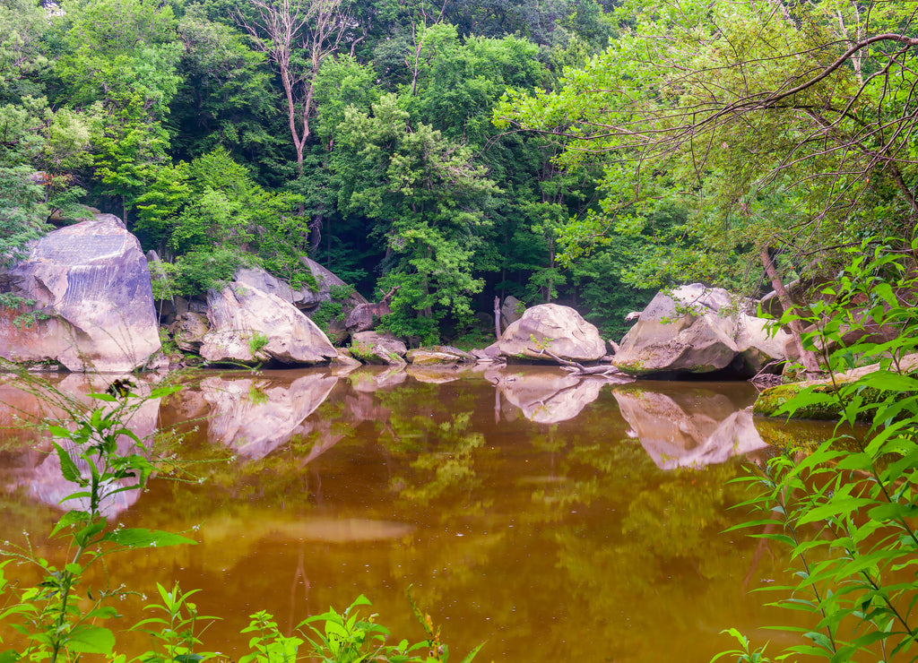 Black river in the Cascade Park area.Elyria.Ohio.USA