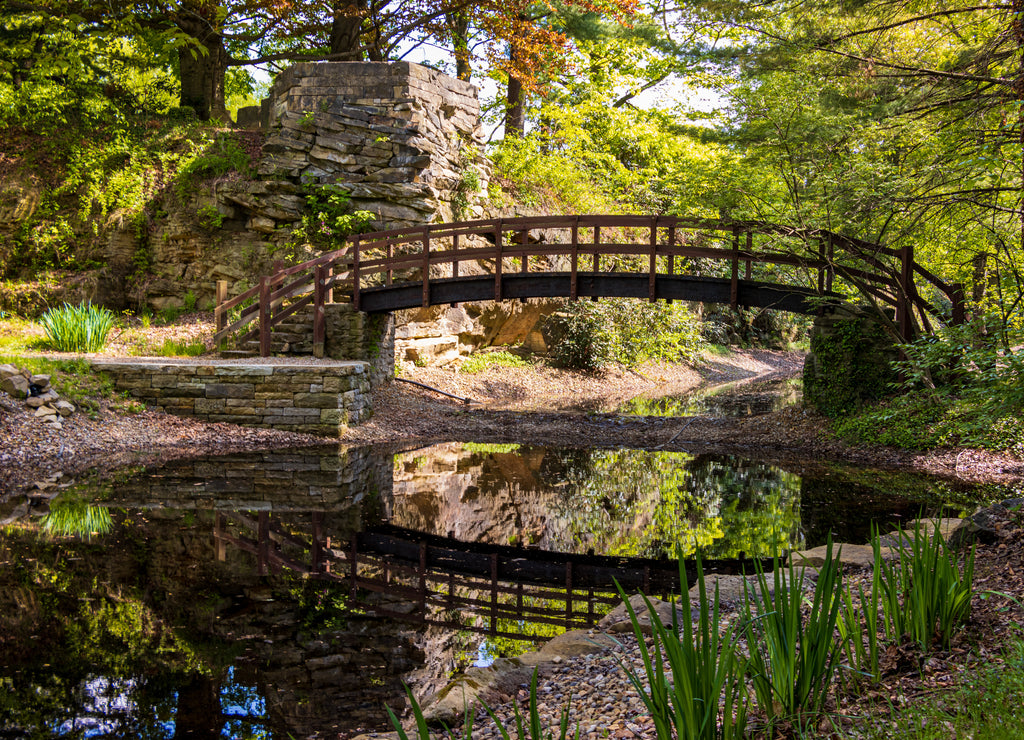 Lush green gardens in Akron, Ohio