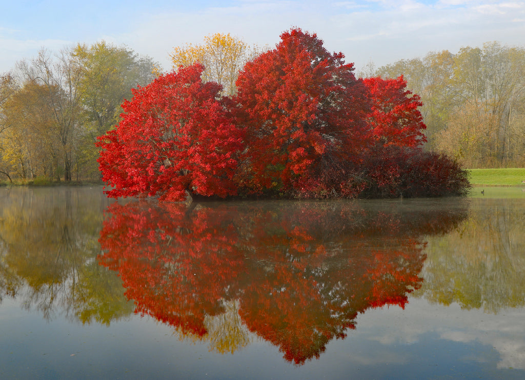 Early morning view of trees and reflections in autumn along hiking trail on the Ohio-Erie Canal tow path hike-bike trail, in Clinton, Ohio