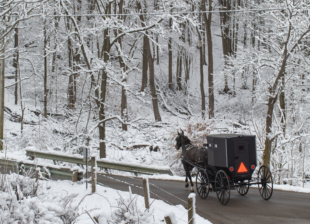 Amish Horse and Buggy Traveling on a Back Road Bridge Among Snow Covered Trees in Amish Country, Ohio