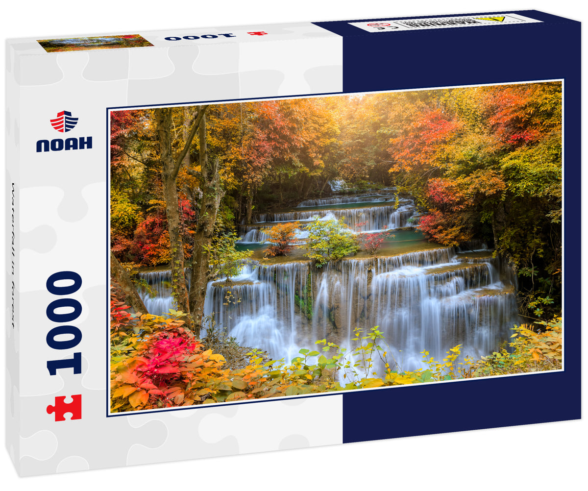 Waterfall in forest