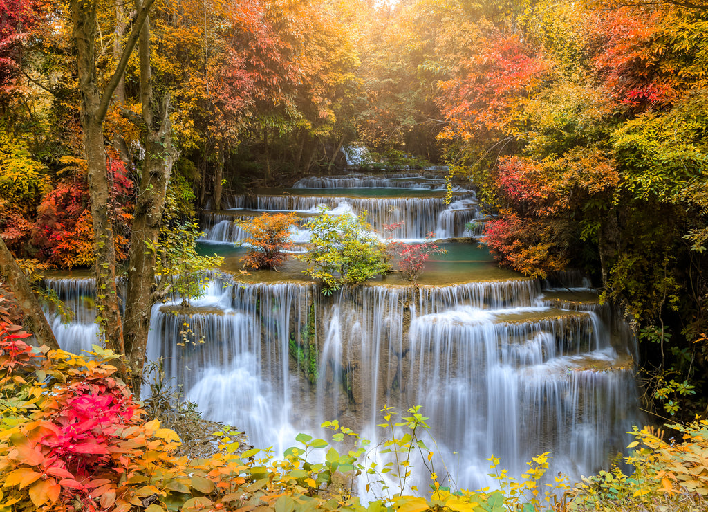 Waterfall in forest