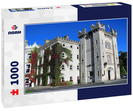 The castle or Cabra Castle in Cavan Ireland