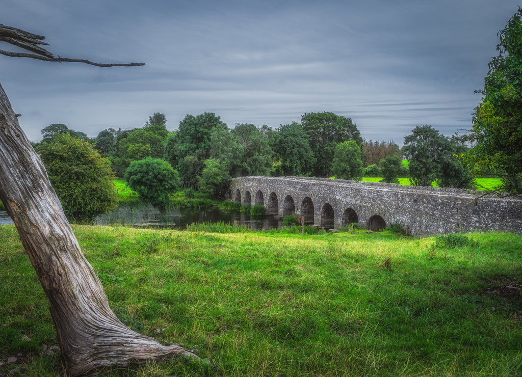 Old 12th century Bective Bridge with stone arch over the River Boyne with large tree trunk surrounded by green fields and forests, County Meath, Ireland