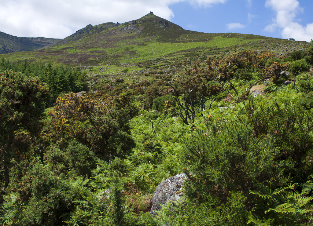 Crossing the slopes of Comeragh Mountains, Ireland