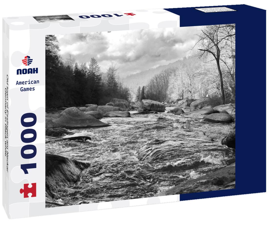 Noah Jigsaw Puzzle Old town of Esslingen am Neckar, Germany in black white 1000 pieces