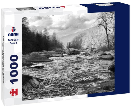 Noah Jigsaw Puzzle Old town of Esslingen am Neckar, Germany in black white 1000 pieces