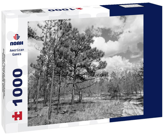 Noah Jigsaw Puzzle Blue Pond at Shirokane, Biei-cho, Hokkaido (summer season) in black white 1000 pieces