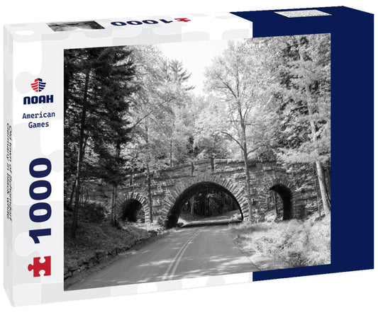 Noah Jigsaw Puzzle Old town of Schorndorf, Germany in black white 1000 pieces