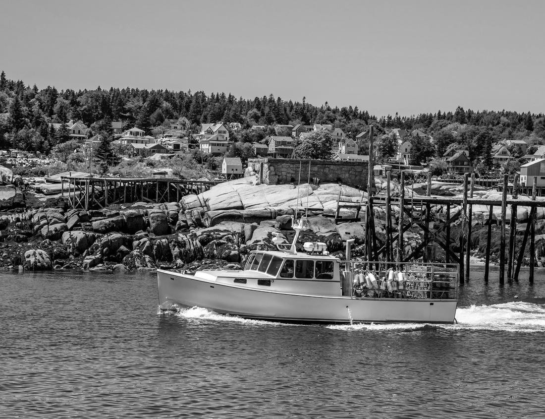 Noah Jigsaw Puzzle Historic town of Rottenburg am Neckar, Germany in black white 1000 pieces