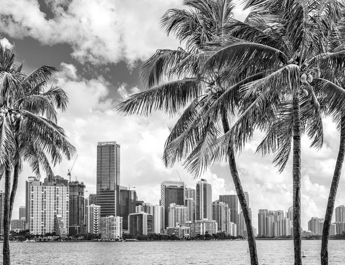 Noah Jigsaw Puzzle Majestic Great Smoky Mountains Panorama in black white 1000 pieces