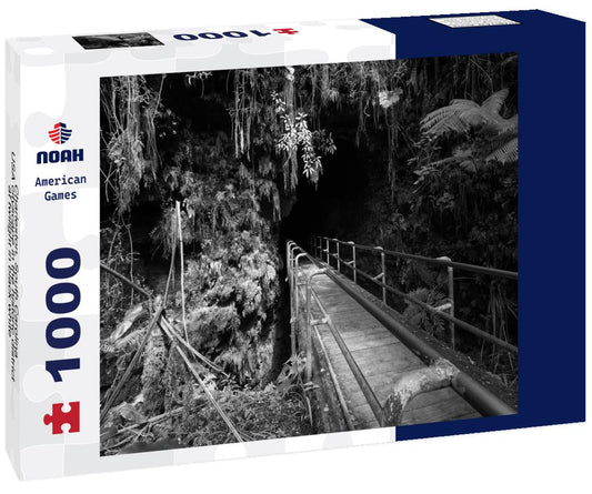 Noah Jigsaw Puzzle Charleston, South Carolina, USA cityscape in the historic district at twilight in black white 1000 pieces