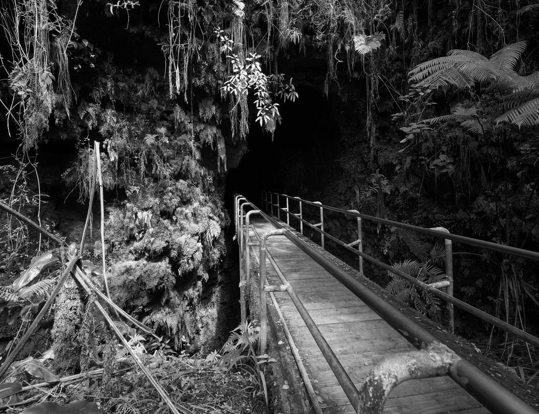 Noah Jigsaw Puzzle Charleston, South Carolina, USA cityscape in the historic district at twilight in black white 1000 pieces