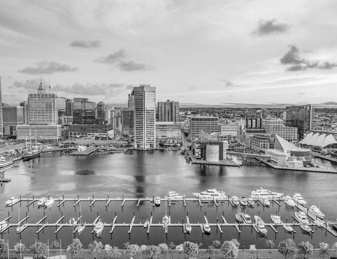 Noah Jigsaw Puzzle View of the city street with buildings and café, Berlin in black white 1000 pieces