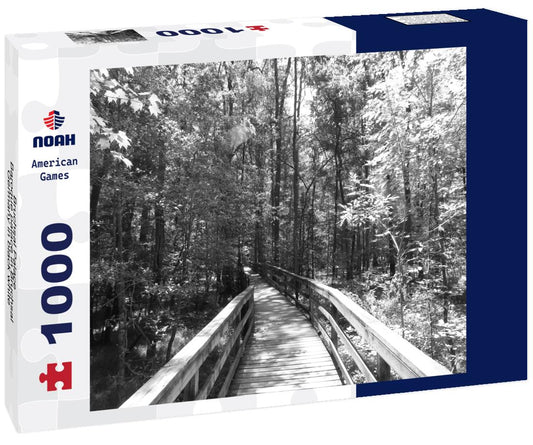 Noah Jigsaw Puzzle Bruchsal Palace - Baroque palace in Bruchsal, Germany in black white 1000 pieces