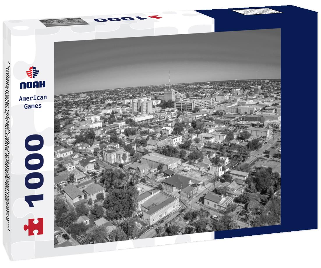 Noah Jigsaw Puzzle Pasture covered with sky lupine (Lupinus nanus) wildflowers, North Table Ecological Reserve, Oroville, California in black white 1000 pieces