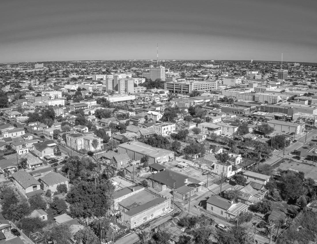 Noah Jigsaw Puzzle Pasture covered with sky lupine (Lupinus nanus) wildflowers, North Table Ecological Reserve, Oroville, California in black white 1000 pieces