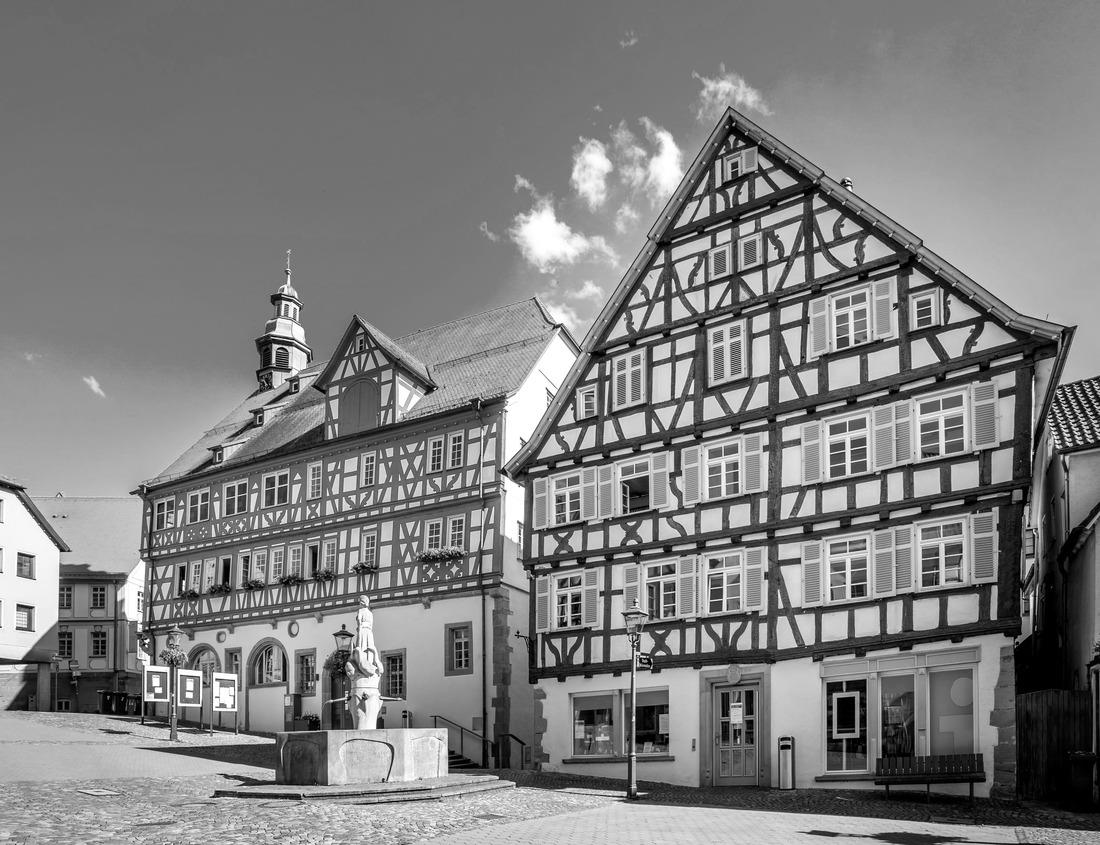 Johannesburg Castle from afar, Aschaffenburg, Germany 1000pc PuzzleBlack and White