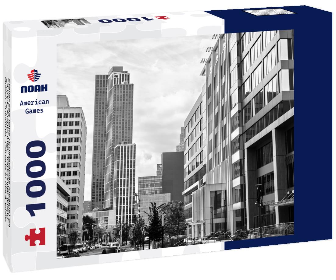 Noah Jigsaw Puzzle Steller sea lions (Eumetopias jubatus) on a rock, Knight Inlet, Vancouver Island, British Columbia, Canada in black white 1000 pieces