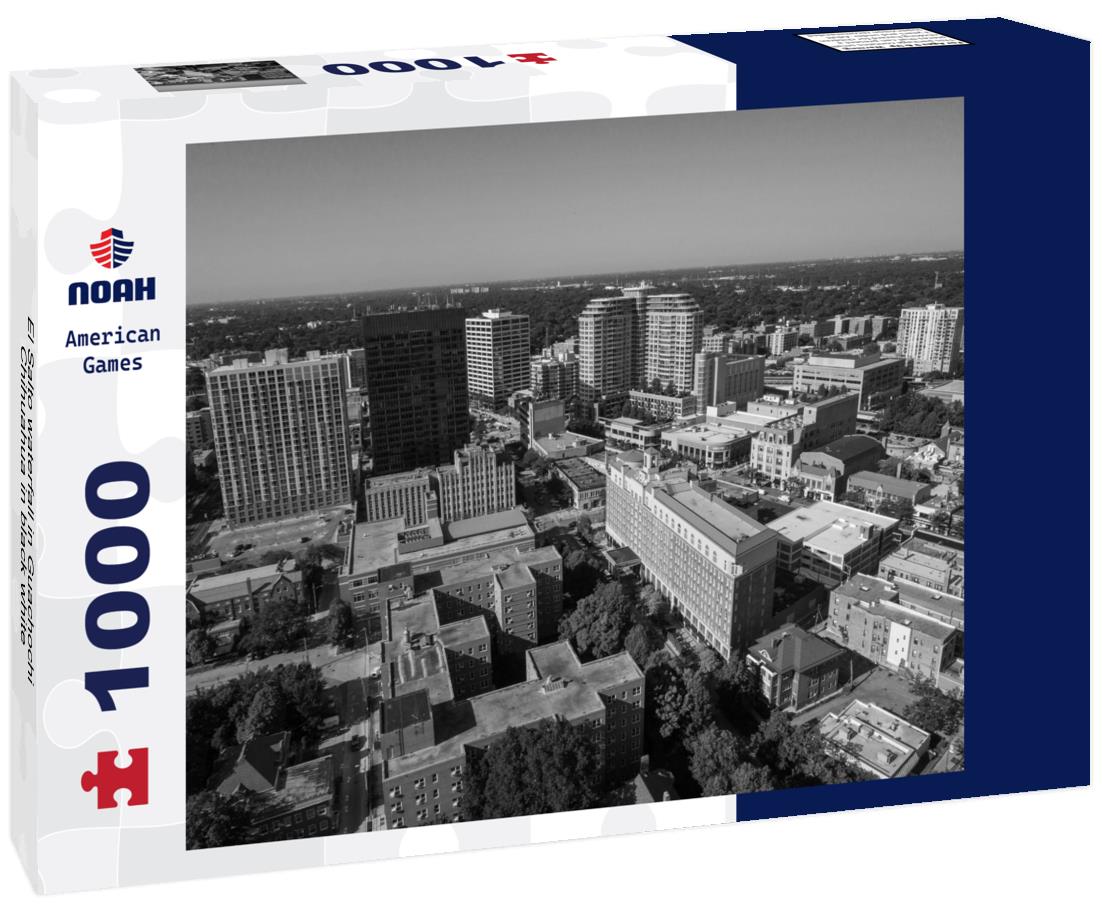 Noah Jigsaw Puzzle El Salto waterfall in Guachochi Chihuahua in black white 1000 pieces