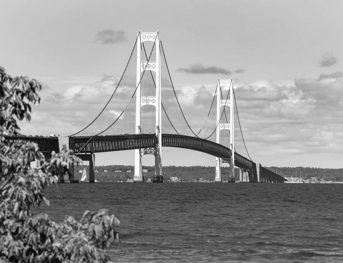 Noah Jigsaw Puzzle Petroglyphs National Monument New Mexico in black white 1000 pieces