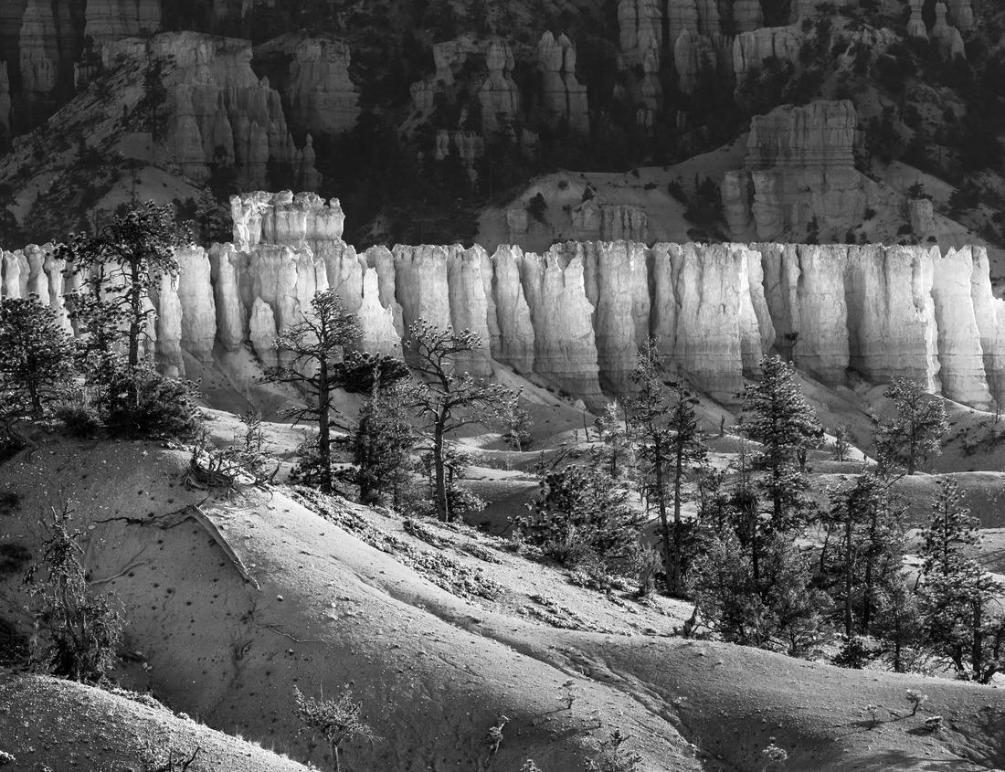 Noah Jigsaw Puzzle Elephants in Tanzania, Africa in black white 1000 pieces