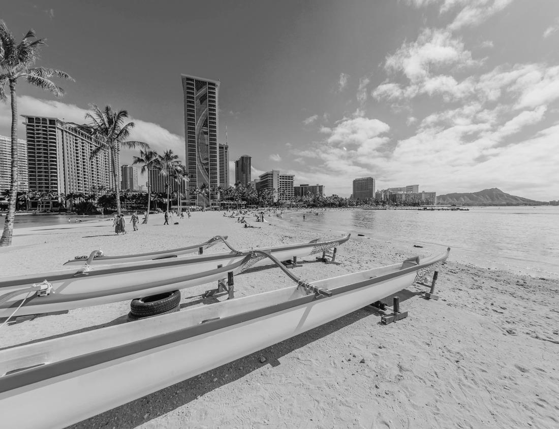 Noah Jigsaw Puzzle Austin Downtown Skyline at the Colorado River in Austin, Texas, USA in black white 1000 pieces
