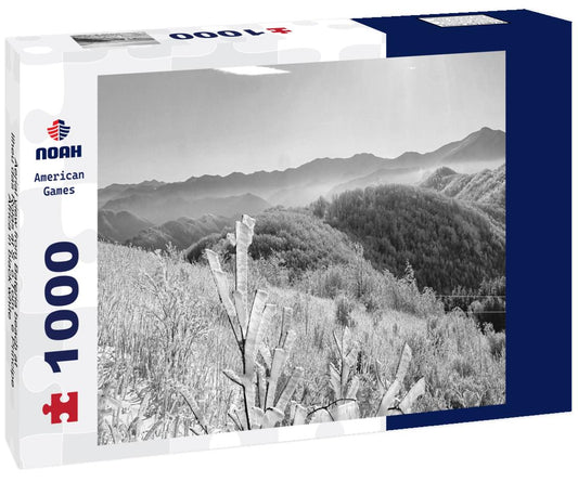 Noah Jigsaw Puzzle Aerial view from Bateria beach at Ilheu das Rolas at São Tomé e Principe, Africa in black white 1000 pieces