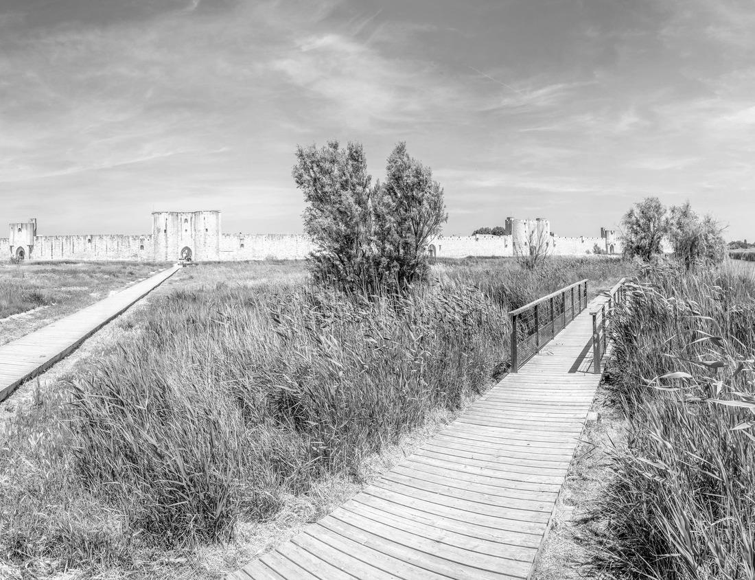 Noah Jigsaw Puzzle Spring at the Badlands in Theodore Roosevelt National Park in North Dakota in black white 1000 pieces