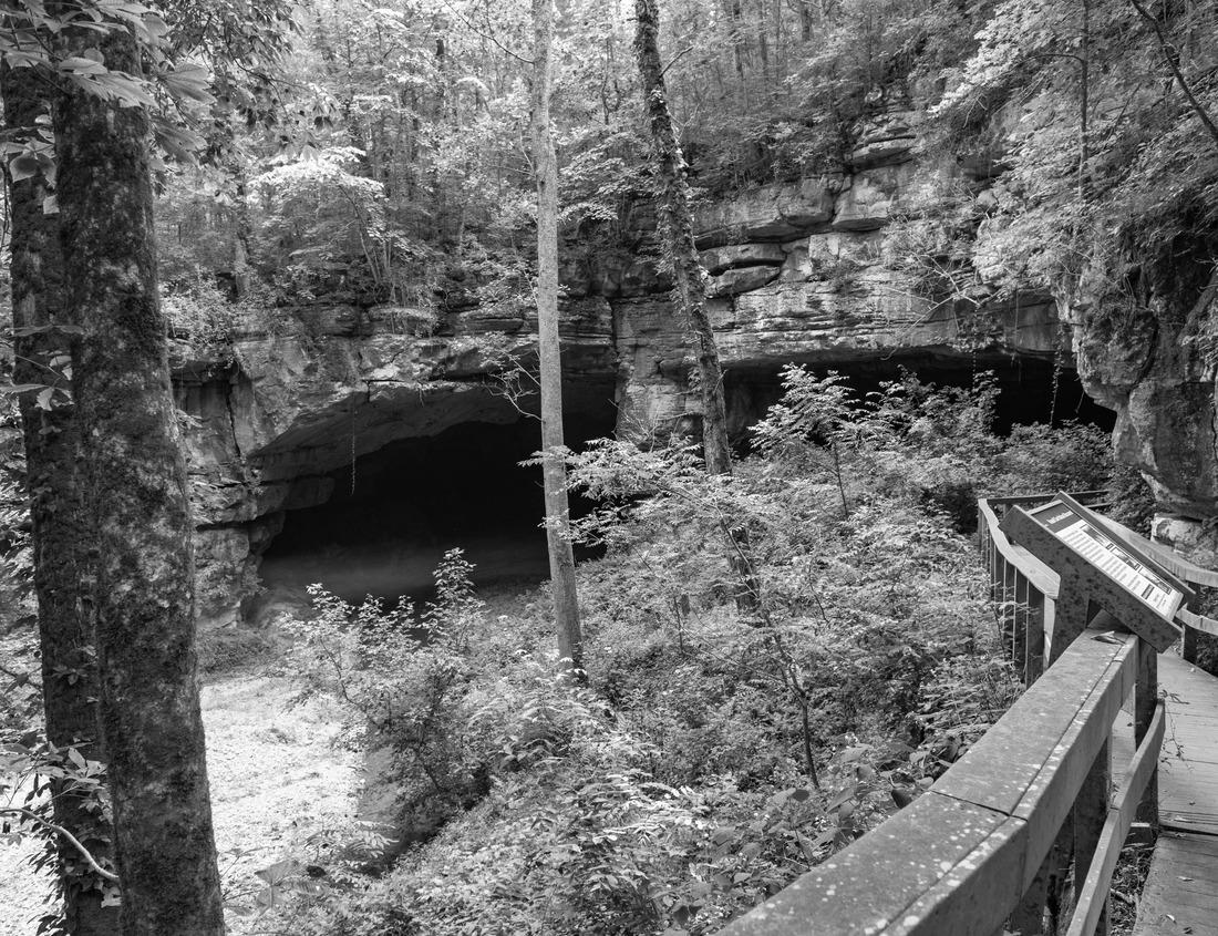 Noah Jigsaw Puzzle Attractive summer town of Trieste, Italy, Europe. Magnificent view of the Piazza del Ponte Rosso in black white 1000 pieces