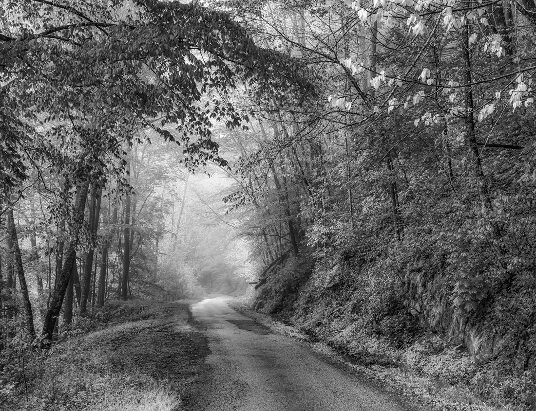 Noah Jigsaw Puzzle Sunset over Snake River near Oxbow Bend in Grand Teton National Park, Wyoming, USA in black white 1000 pieces