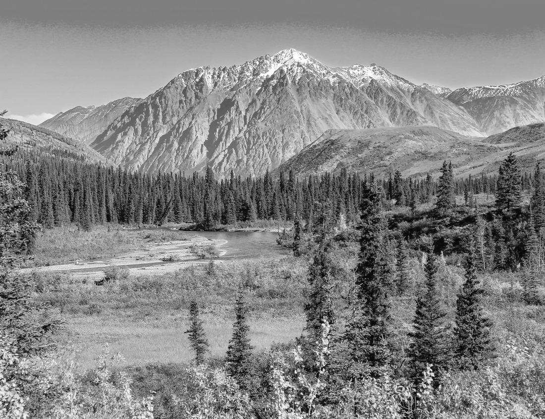 Noah Jigsaw Puzzle Chicago city skyline and street scenes in black white 1000 pieces