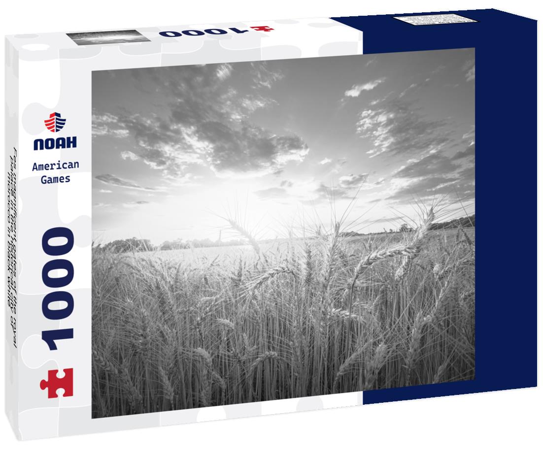 Noah Jigsaw Puzzle Fes magnificent gates of the royal palace in the historical city of morocco in black white 1000 pieces