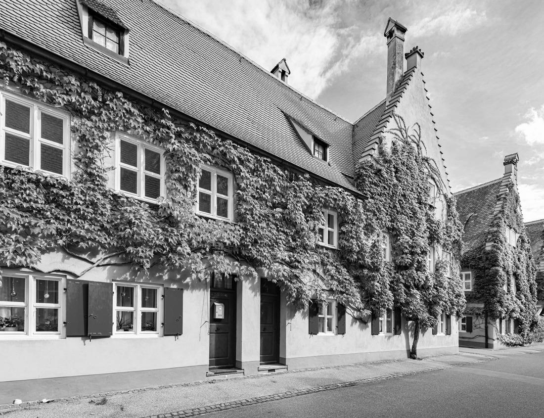 Noah Jigsaw Puzzle Macintosh Lake, Longmont Colorado, Longs Peak, Mount Meeker in black white 1000 pieces