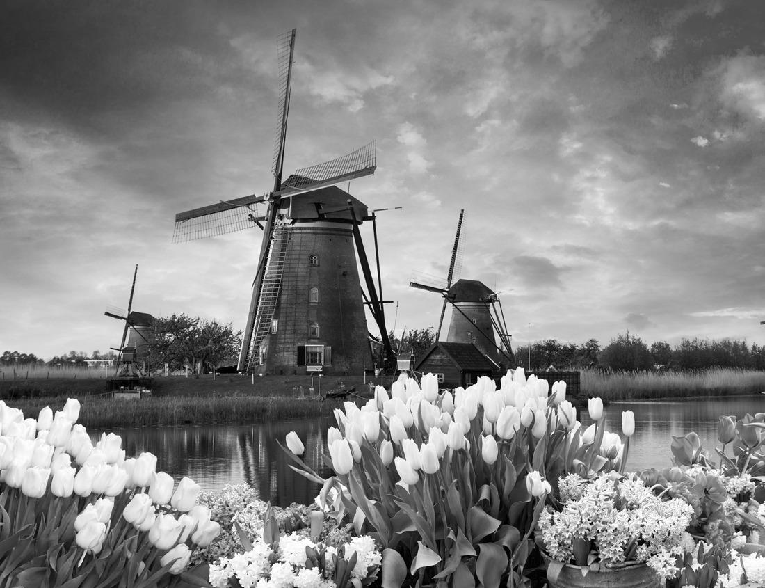 Noah Jigsaw Puzzle Independence, Missouri, USA: Afternoon sunlight shines on the historic core of downtown Independence in black white 1000 pieces