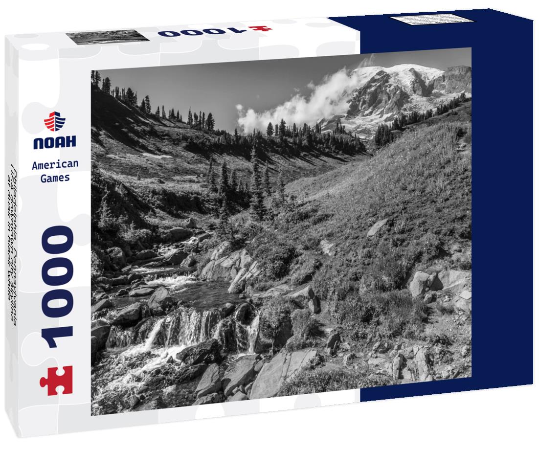 Noah Jigsaw Puzzle Philadelphia, Pennsylvania, USA downtown city skyline at dusk in black white 1000 pieces