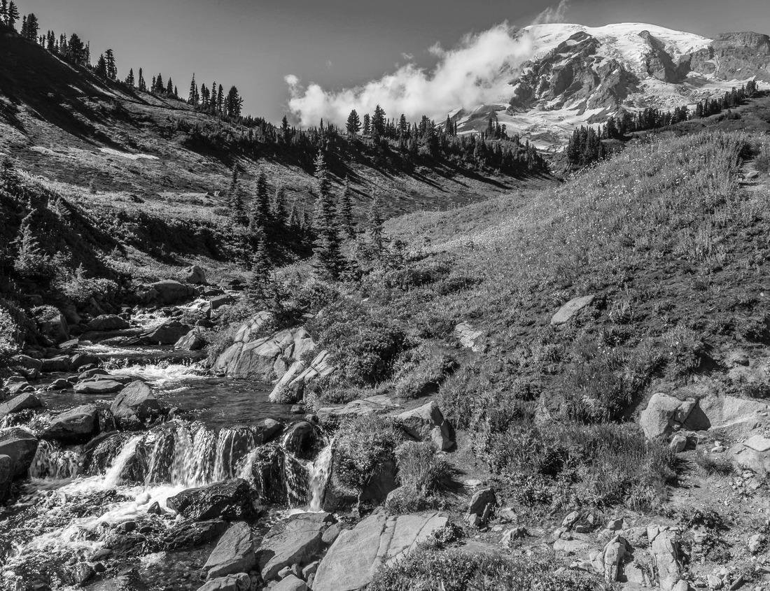 Noah Jigsaw Puzzle Philadelphia, Pennsylvania, USA downtown city skyline at dusk in black white 1000 pieces
