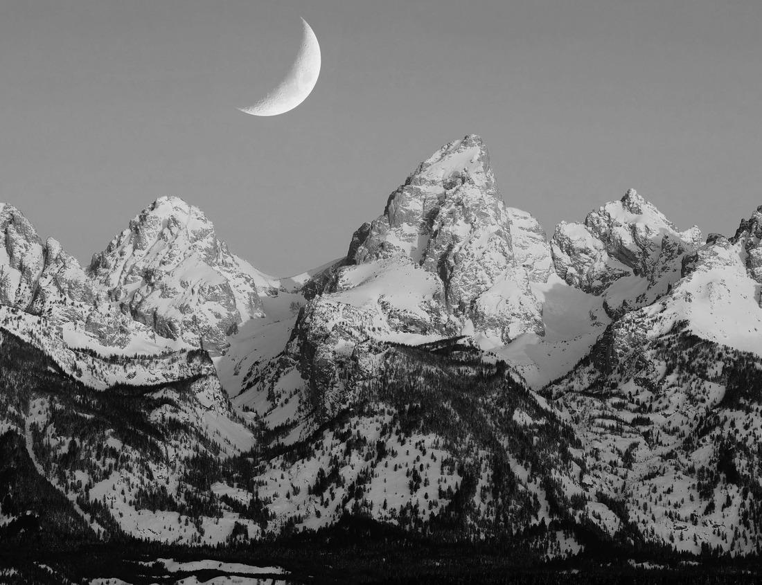 Noah Jigsaw Puzzle Historic Cabins at Valley Forge National Historical Park, Revolutionary War encampment, northwest of Philadelphia, in Pennsylvania, USA in black white 1000 pieces