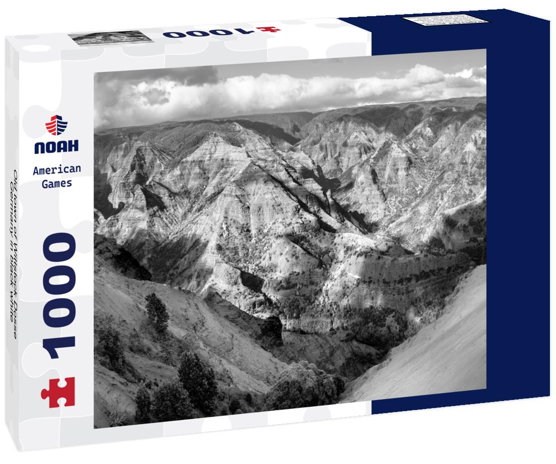 Noah Jigsaw Puzzle Old town of Wittstock Dosse, Germany in black white 1000 pieces