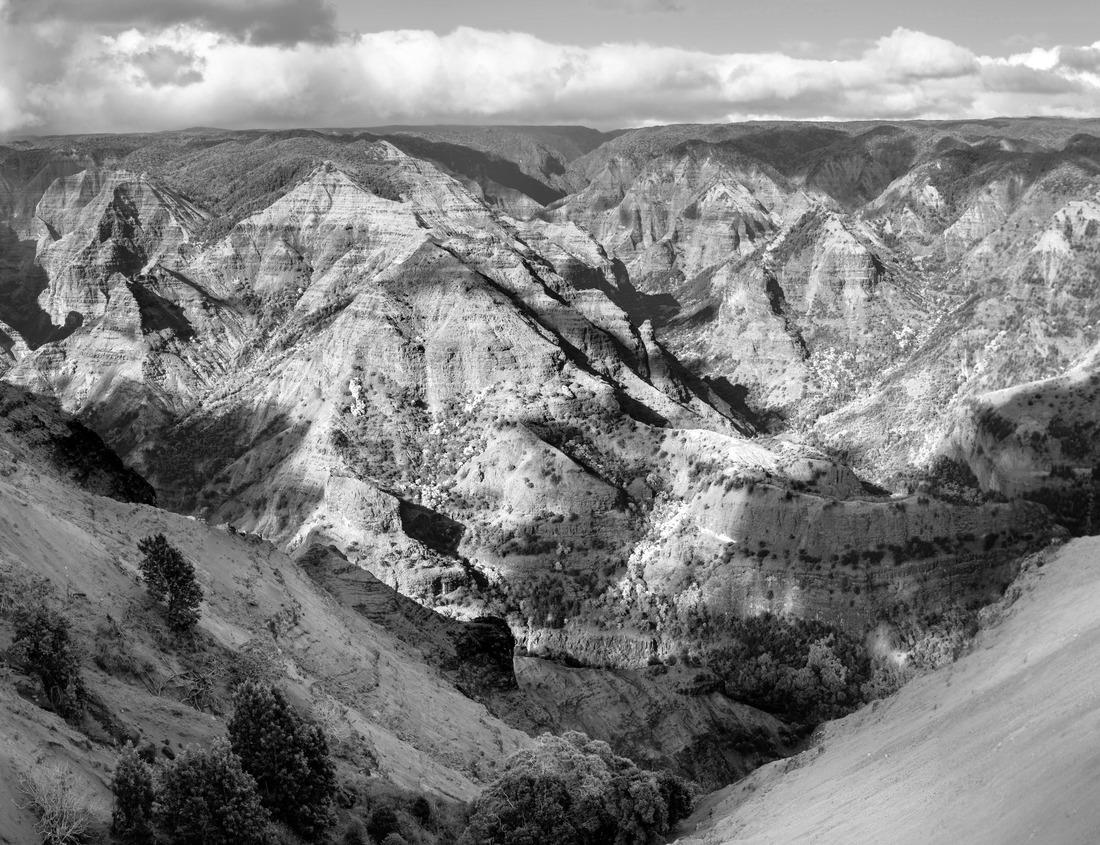 Noah Jigsaw Puzzle Old town of Wittstock Dosse, Germany in black white 1000 pieces