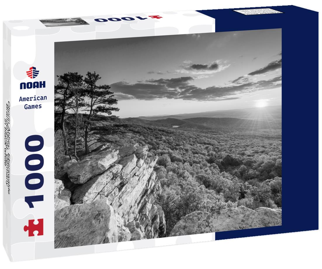 Noah Jigsaw Puzzle Chorin Abbey, Eberswalde, Brandenburg, Germany in black white 1000 pieces