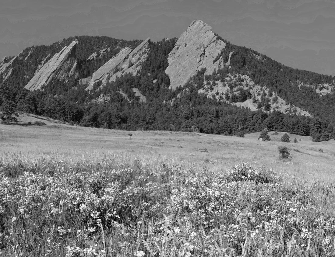 Noah Jigsaw Puzzle Ennis, Madison County, Montana, United States in black white 1000 pieces