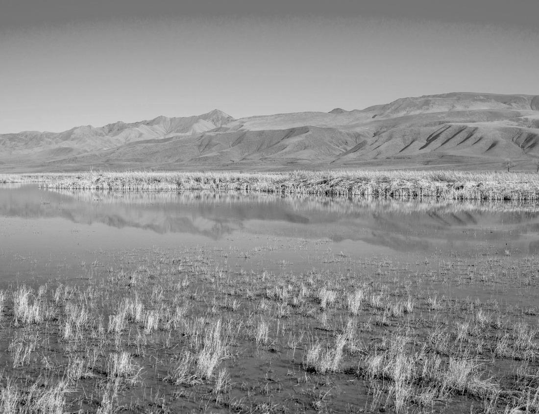 Noah Jigsaw Puzzle St. Peter's Cathedral on Likoma Island in Malawi in black white 1000 pieces