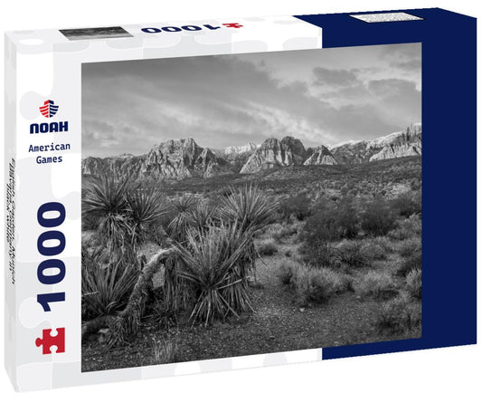 Noah Jigsaw Puzzle English Garden, Munich, Bavaria, Germany in black white 1000 pieces