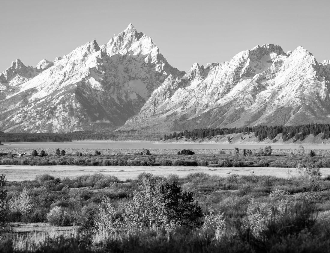 Noah Jigsaw Puzzle Rosebud Battlefield State Park in Big Horn County, Montana in black white 1000 pieces