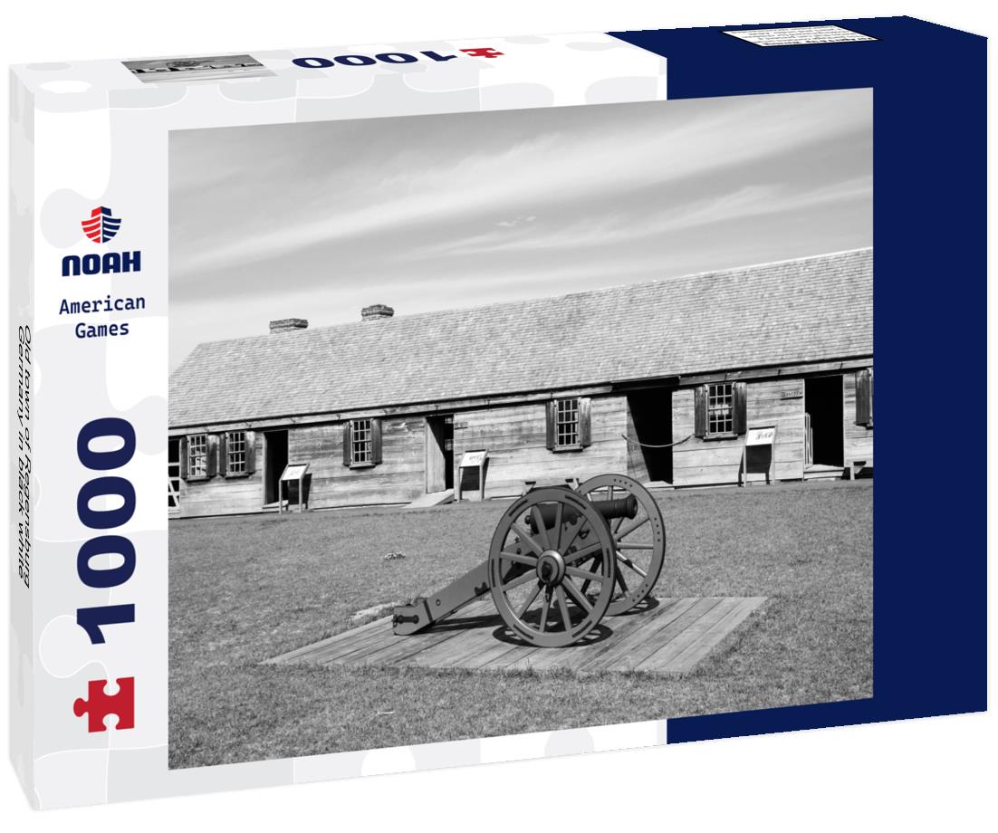 Noah Jigsaw Puzzle Old town of Regensburg, Germany in black white 1000 pieces