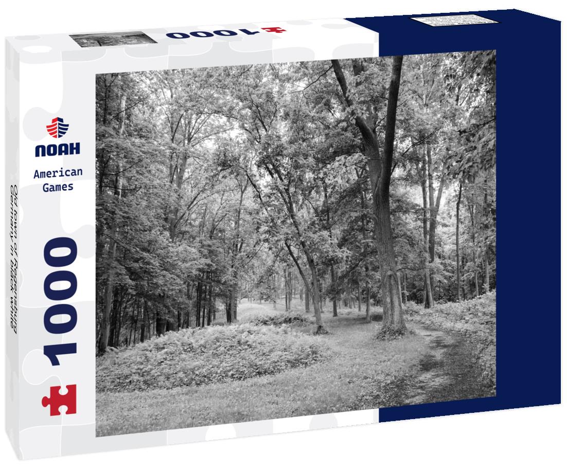 Noah Jigsaw Puzzle Old town of Regensburg, Germany in black white 1000 pieces