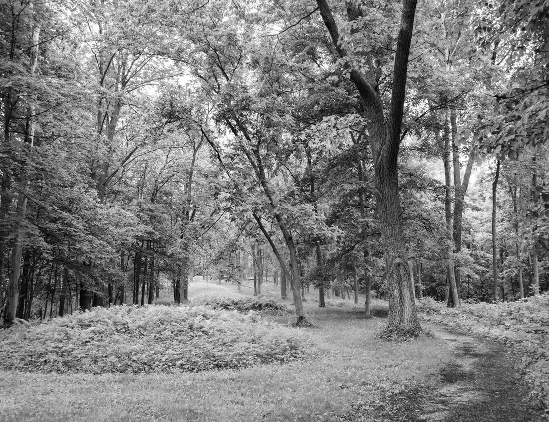 Noah Jigsaw Puzzle Old town of Regensburg, Germany in black white 1000 pieces
