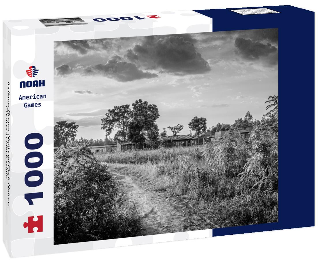 Noah Jigsaw Puzzle Indiana Dunes National Park Nature Photos in black white 1000 pieces