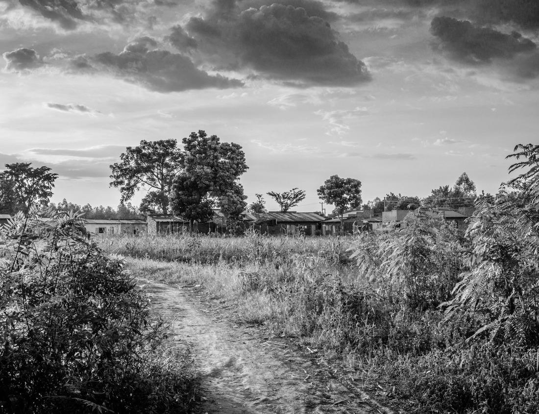 Noah Jigsaw Puzzle Indiana Dunes National Park Nature Photos in black white 1000 pieces